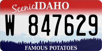 ID license plate W847629