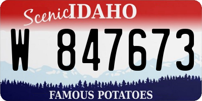 ID license plate W847673