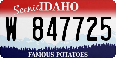 ID license plate W847725
