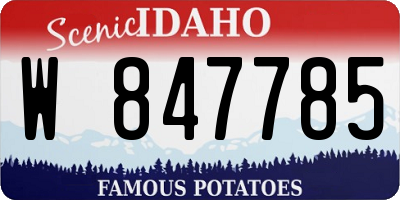 ID license plate W847785