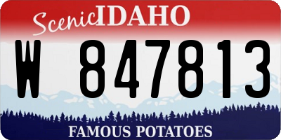 ID license plate W847813