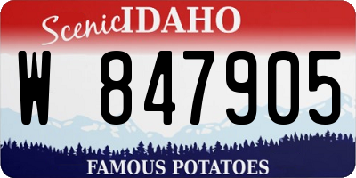 ID license plate W847905
