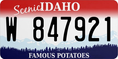 ID license plate W847921