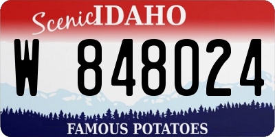 ID license plate W848024
