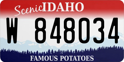 ID license plate W848034