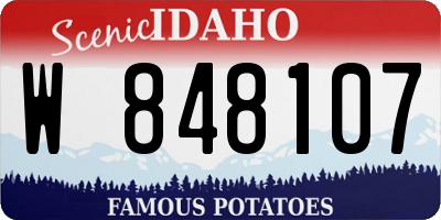ID license plate W848107