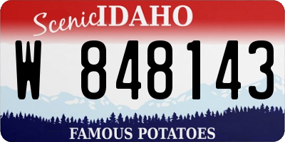ID license plate W848143