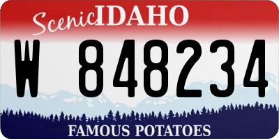 ID license plate W848234