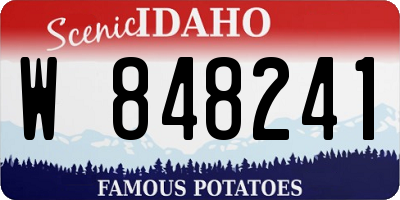 ID license plate W848241