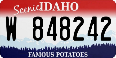 ID license plate W848242