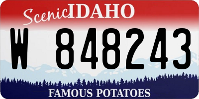 ID license plate W848243