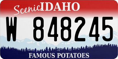 ID license plate W848245
