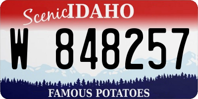 ID license plate W848257