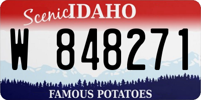ID license plate W848271