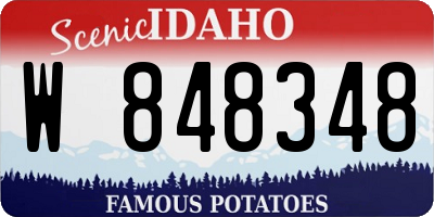 ID license plate W848348