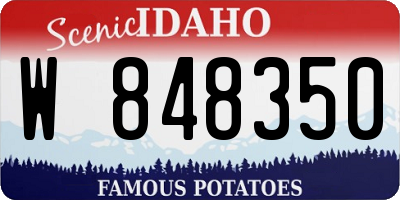 ID license plate W848350