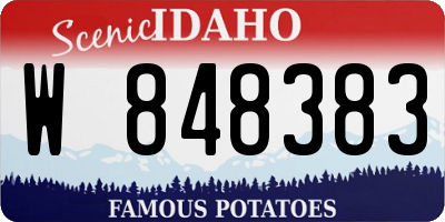 ID license plate W848383