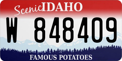 ID license plate W848409