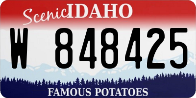 ID license plate W848425