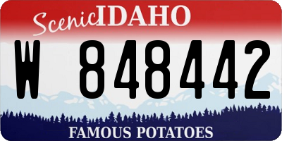 ID license plate W848442