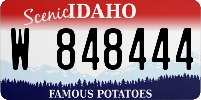 ID license plate W848444