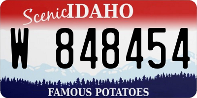 ID license plate W848454