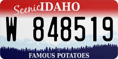 ID license plate W848519