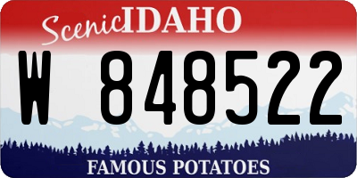 ID license plate W848522