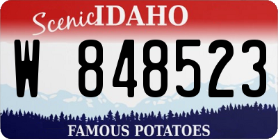 ID license plate W848523