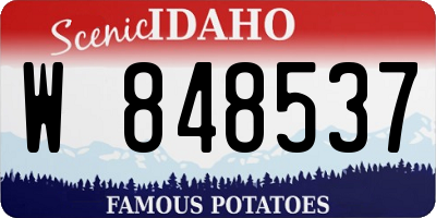 ID license plate W848537