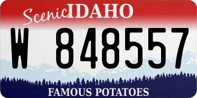 ID license plate W848557