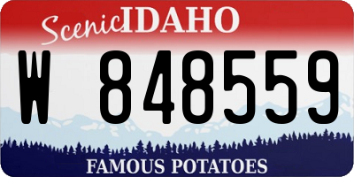 ID license plate W848559