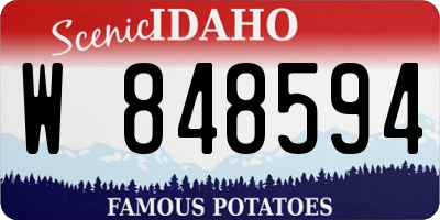 ID license plate W848594