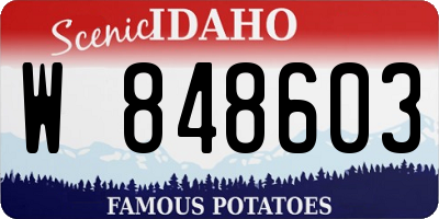 ID license plate W848603