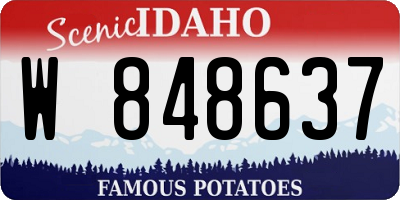 ID license plate W848637