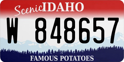 ID license plate W848657