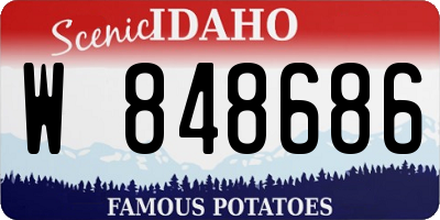 ID license plate W848686