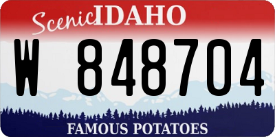 ID license plate W848704
