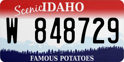 ID license plate W848729