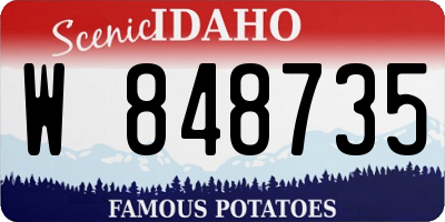 ID license plate W848735