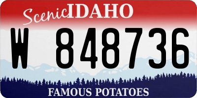 ID license plate W848736