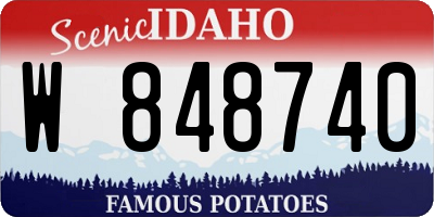 ID license plate W848740