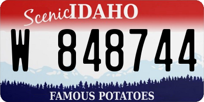 ID license plate W848744