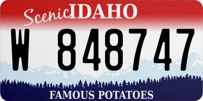 ID license plate W848747