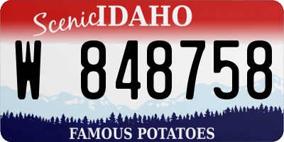 ID license plate W848758
