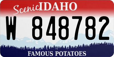 ID license plate W848782