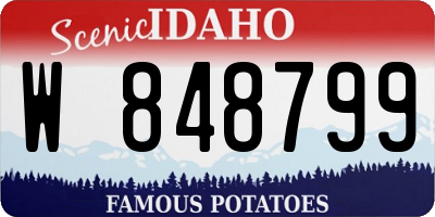 ID license plate W848799