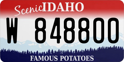 ID license plate W848800