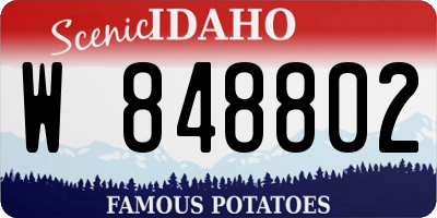 ID license plate W848802