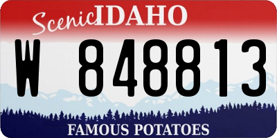 ID license plate W848813